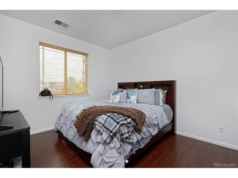 21366 E 49th Pl, Denver, CO 80249 photo 34
