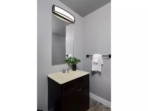21366 E 49th Pl, Denver, CO 80249 photo 19