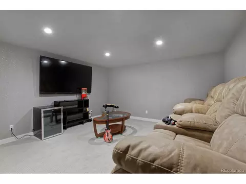 21366 E 49th Pl, Denver, CO 80249 photo 41