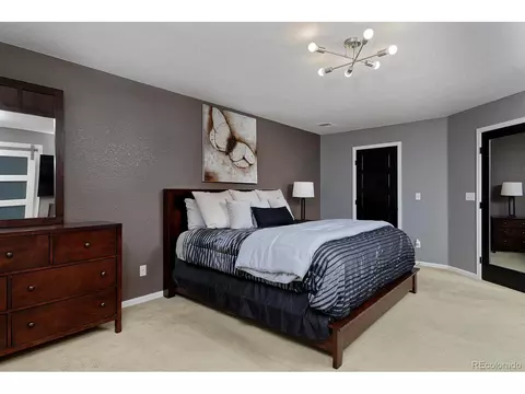 21366 E 49th Pl, Denver, CO 80249 photo 23