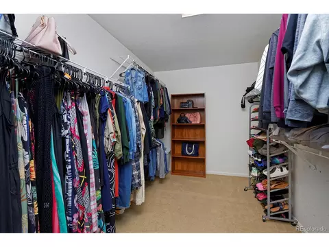 21366 E 49th Pl, Denver, CO 80249 photo 29
