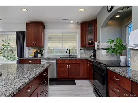 21366 E 49th Pl, Denver, CO 80249 photo 11