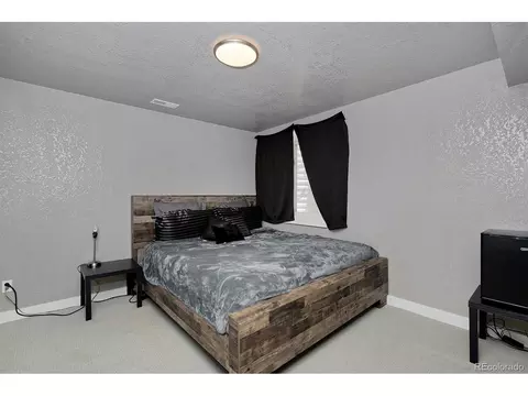 21366 E 49th Pl, Denver, CO 80249 photo 42