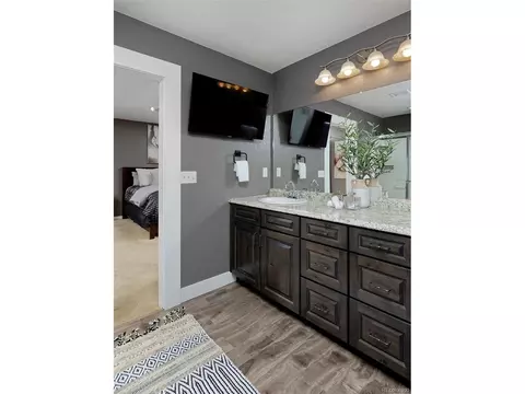21366 E 49th Pl, Denver, CO 80249 photo 28