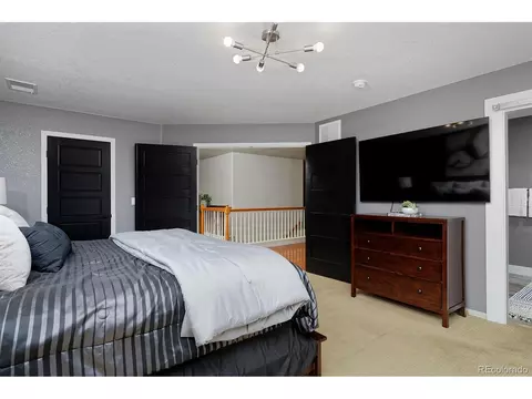 21366 E 49th Pl, Denver, CO 80249 photo 24