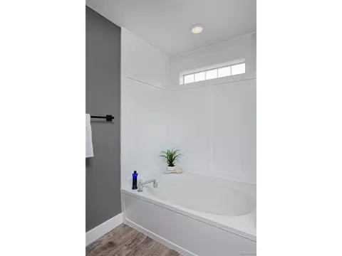 21366 E 49th Pl, Denver, CO 80249 photo 27