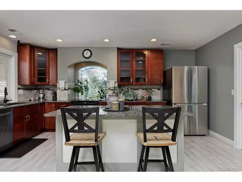 21366 E 49th Pl, Denver, CO 80249 photo 10