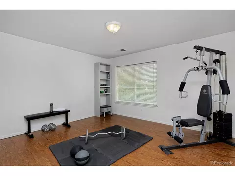 21366 E 49th Pl, Denver, CO 80249 photo 30