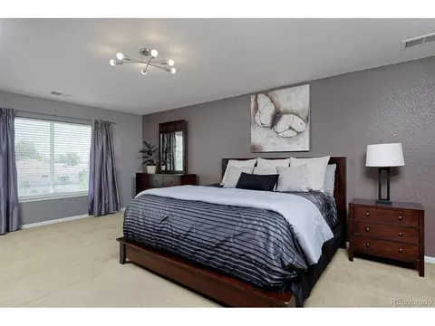 21366 E 49th Pl, Denver, CO 80249 photo 22