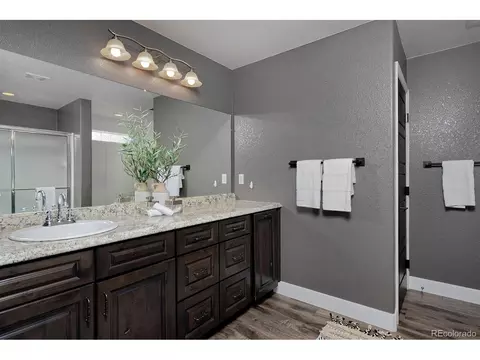 21366 E 49th Pl, Denver, CO 80249 photo 25