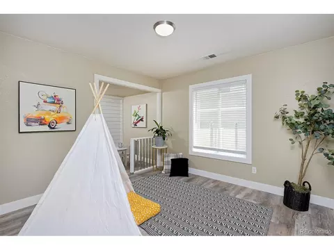 21366 E 49th Pl, Denver, CO 80249 photo 17