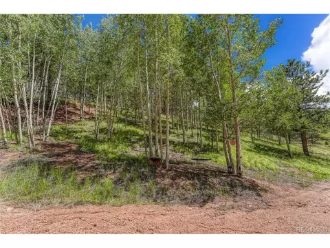 Undisclosed, Divide, CO 80814 photo 31