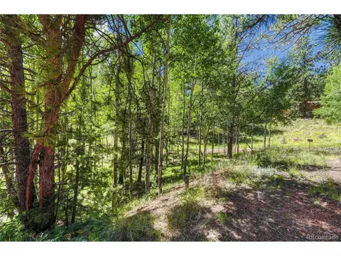 Undisclosed, Divide, CO 80814 photo 30