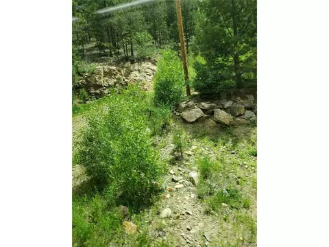 462 Doe Cir, Bailey, CO 80421 photo 2