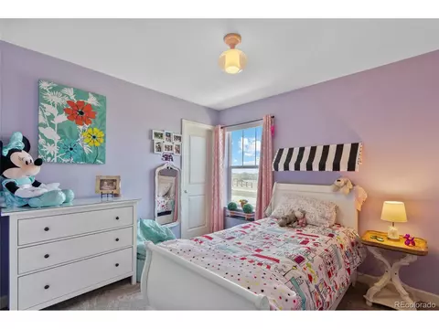 10959 E 28th Pl, Denver, CO 80238 photo 16