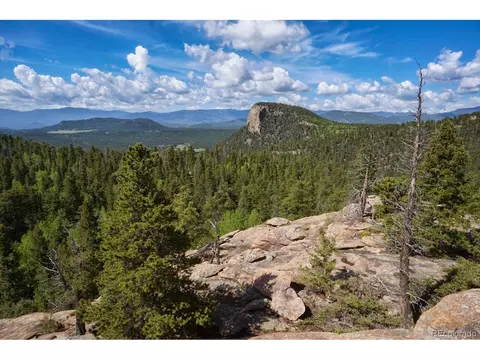 15077 Wilson Peak Rd, Pine, CO 80470 photo 46