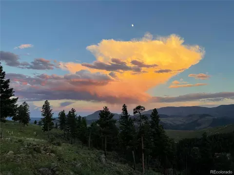 15077 Wilson Peak Rd, Pine, CO 80470 photo 43