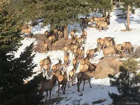 15077 Wilson Peak Rd, Pine, CO 80470 photo 41