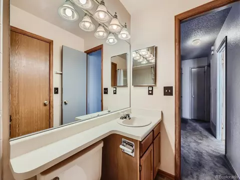 21217 E Powers Pl, Centennial, CO 80015 photo 27