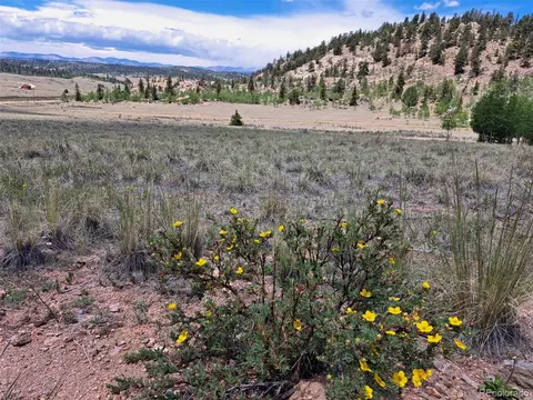 109 Chippewa Rd, Como, CO 80432 photo 3