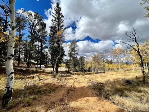 593 Osprey Rd, Como, CO 80432 photo 4