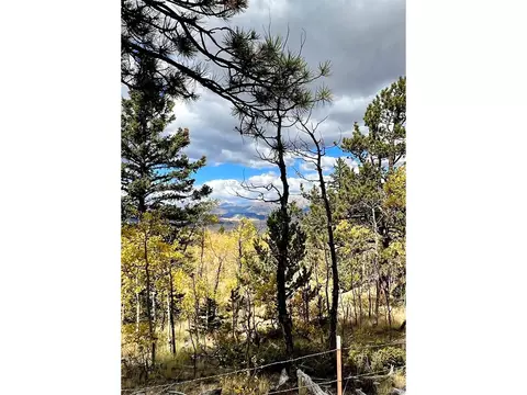 593 Osprey Rd, Como, CO 80432 photo 34