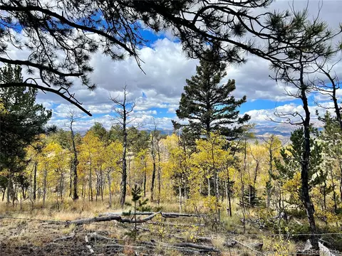 593 Osprey Rd, Como, CO 80432 photo 14