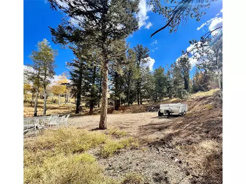 593 Osprey Rd, Como, CO 80432 photo 23