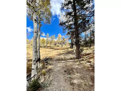 593 Osprey Rd, Como, CO 80432 photo 28
