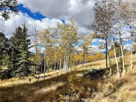 593 Osprey Rd, Como, CO 80432 photo 13