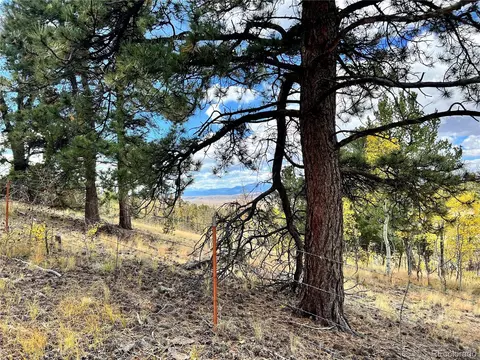 593 Osprey Rd, Como, CO 80432 photo 15