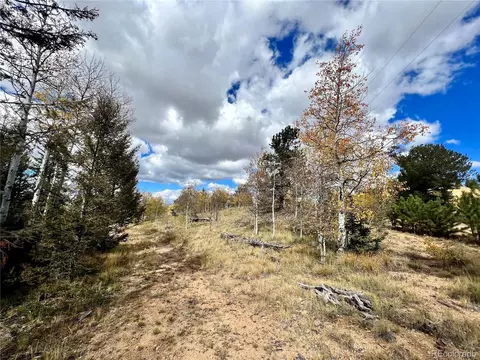 593 Osprey Rd, Como, CO 80432 photo 7