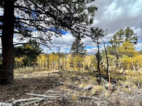 593 Osprey Rd, Como, CO 80432 photo 16