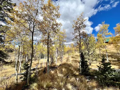 593 Osprey Rd, Como, CO 80432 photo 20