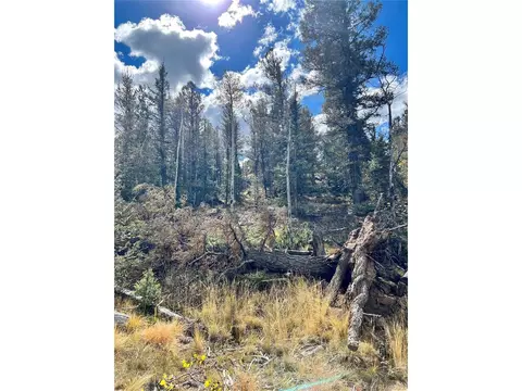 593 Osprey Rd, Como, CO 80432 photo 29