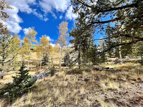 593 Osprey Rd, Como, CO 80432 photo 21