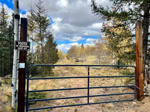 593 Osprey Rd, Como, CO 80432 photo 3