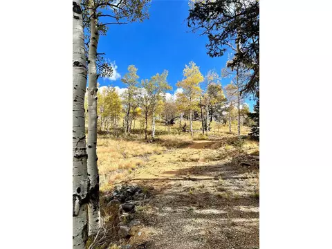 593 Osprey Rd, Como, CO 80432 photo 36