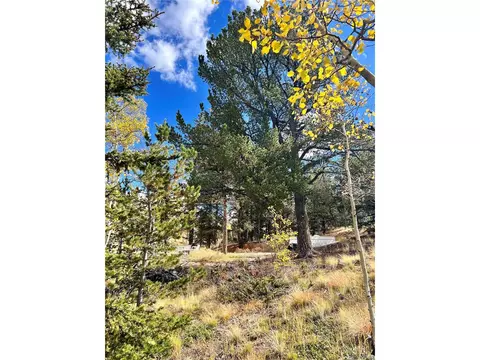 593 Osprey Rd, Como, CO 80432 photo 19