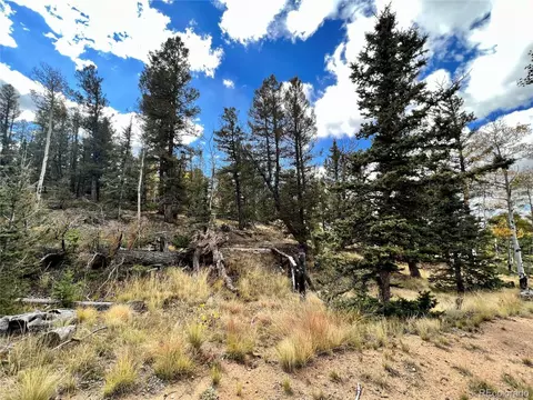 593 Osprey Rd, Como, CO 80432 photo 8