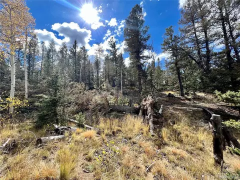 593 Osprey Rd, Como, CO 80432 photo 30