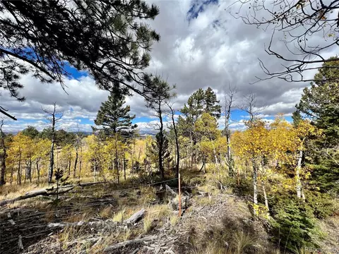 593 Osprey Rd, Como, CO 80432 photo 18