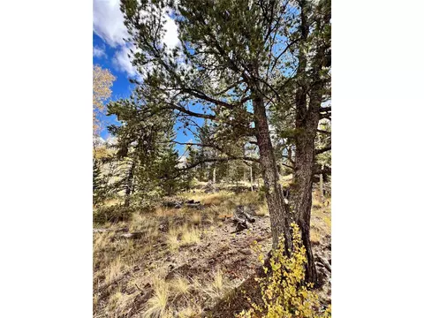 593 Osprey Rd, Como, CO 80432 photo 22