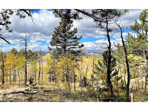 593 Osprey Rd, Como, CO 80432 photo 33