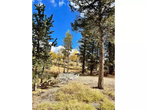 593 Osprey Rd, Como, CO 80432 photo 35