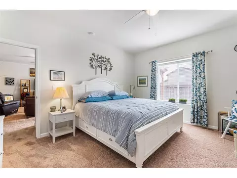 4558 E 95th Ct, Thornton, CO 80229 photo 24