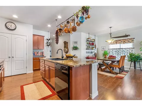 4558 E 95th Ct, Thornton, CO 80229 photo 9