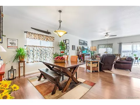 4558 E 95th Ct, Thornton, CO 80229 photo 11