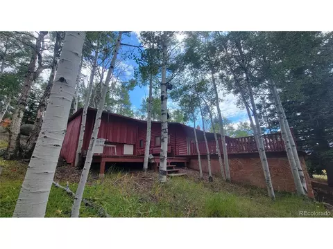 30 Brook, Lake George, CO 80827