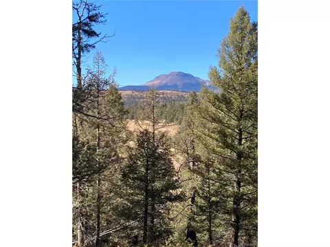 3940 Singletree Rd, Hartsel, CO 80449